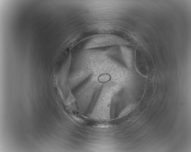 X0000068280744200605051841