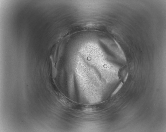 X0000068280746200605051841