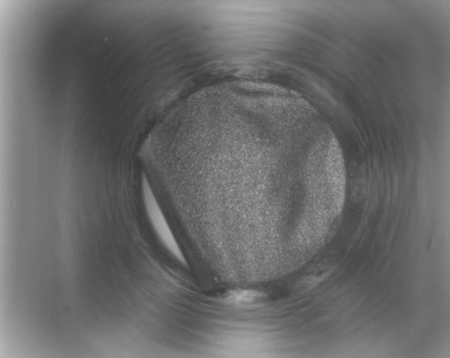 X0000068280748200605051841