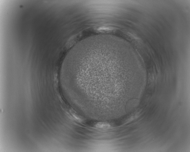 X0000068280749200605051841