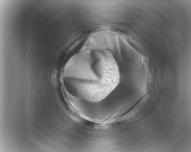 X0000068280750200605051841