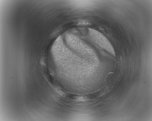 X0000068280755200605051841