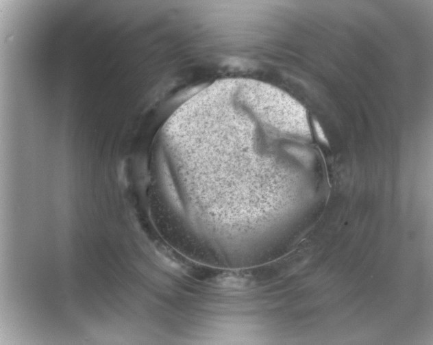 X0000068280756200605051841