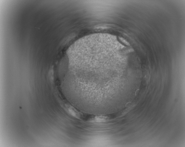 X0000068280758200605051841