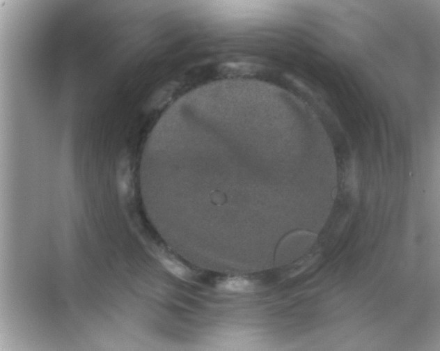 X0000068280759200605051841