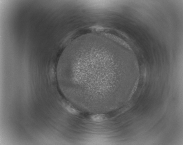 X0000068280761200605051841