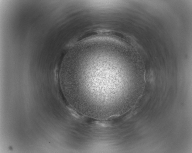 X0000068280763200605051841