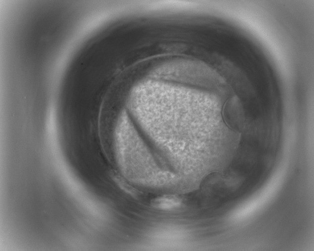 X0000068280765200605051841