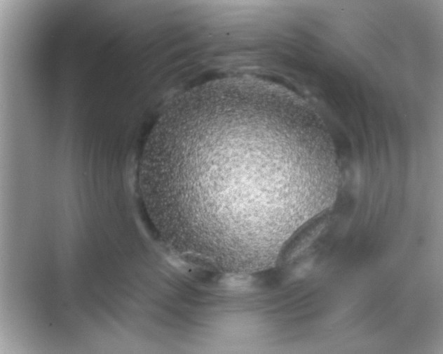 X0000068280767200605051841