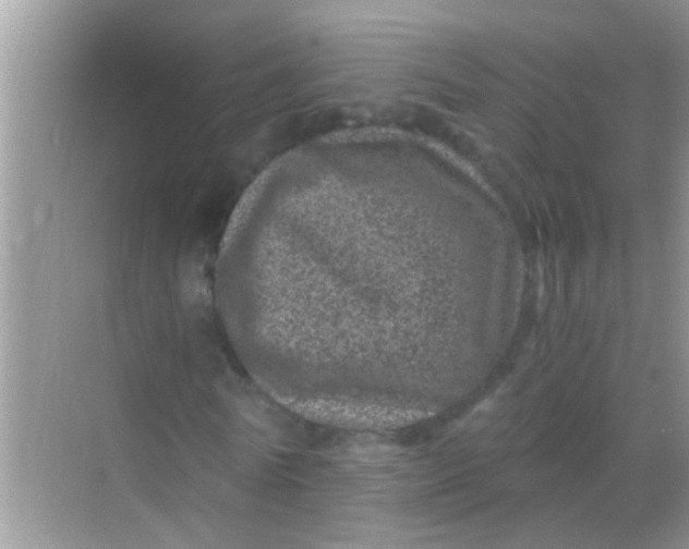 X0000068280770200605051840