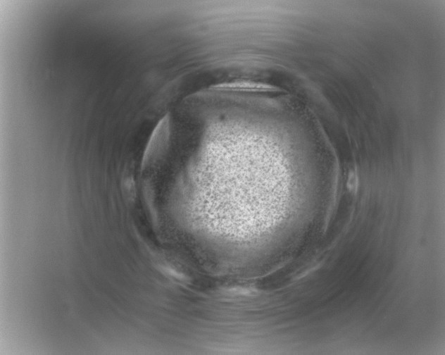 X0000068280771200605051840