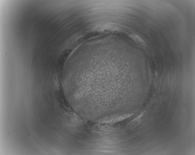 X0000068280774200605051840