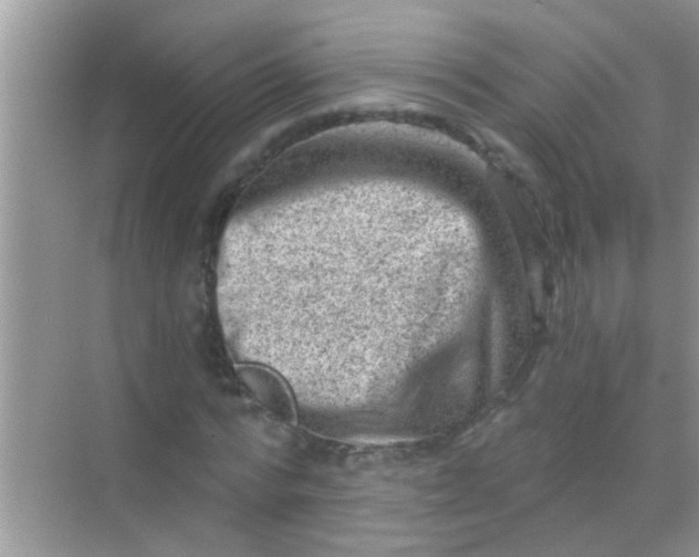 X0000068280776200605051840