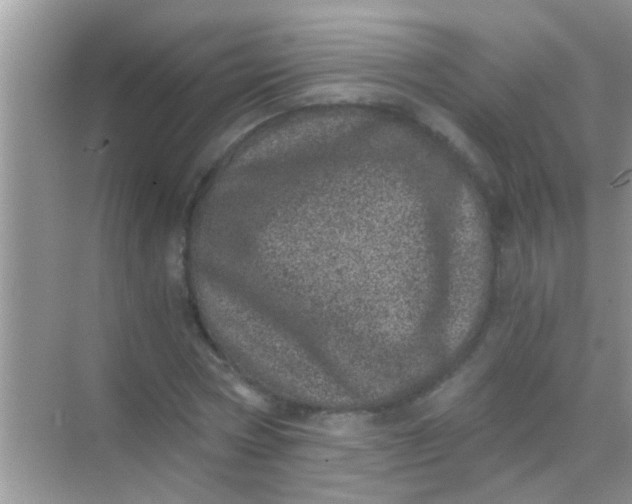 X0000068280778200605051840