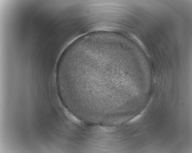 X0000068280779200605051840