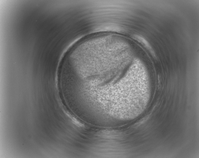 X0000068280780200605051840