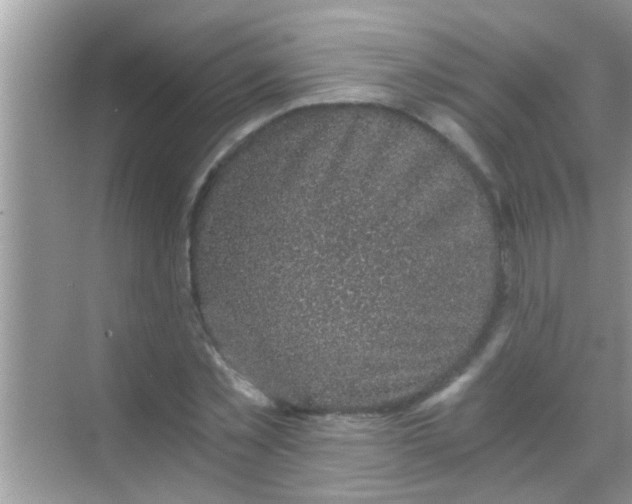 X0000068280781200605051840