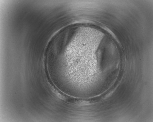 X0000068280783200605051840