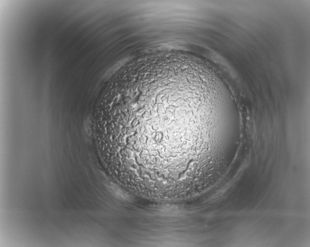 X0000068280785200605051840