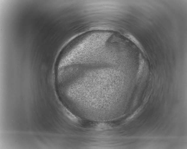 X0000068280787200605051840