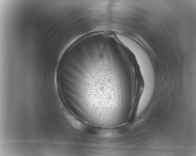 X0000068280788200605051840