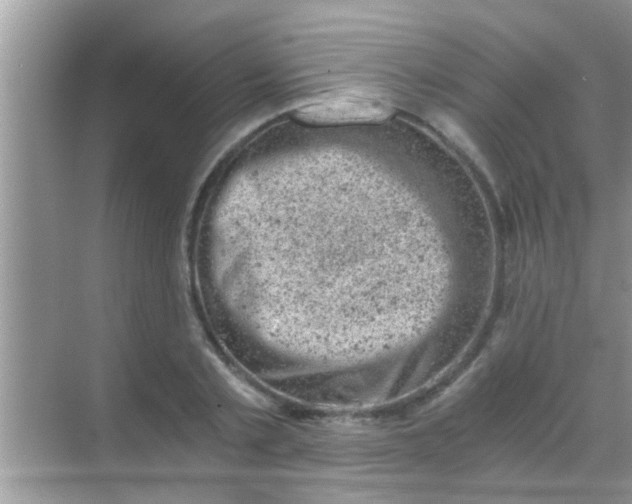 X0000068280789200605051840