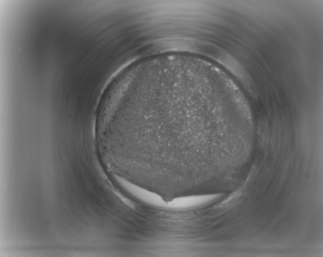 X0000068280790200605051840