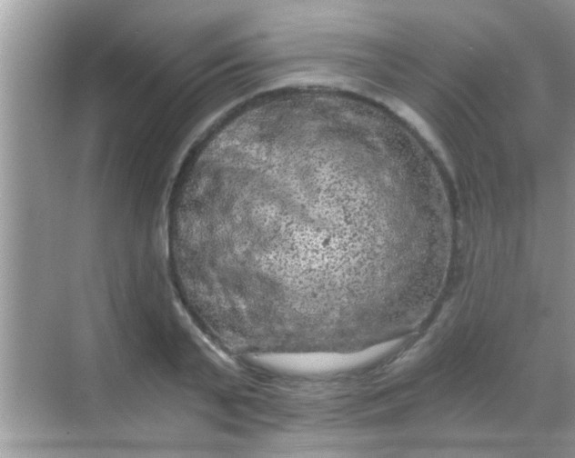 X0000068280791200605051840