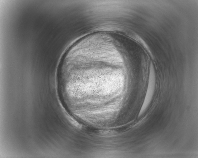 X0000068280795200605051840