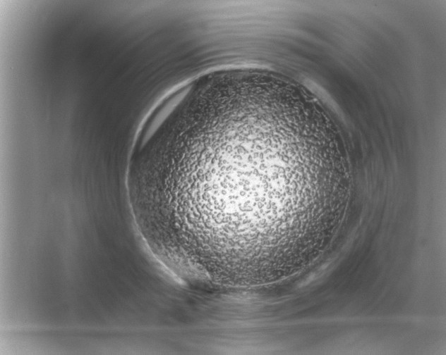 X0000068280797200605051840