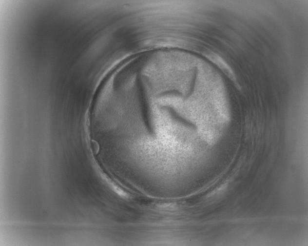 X0000068280798200605051840