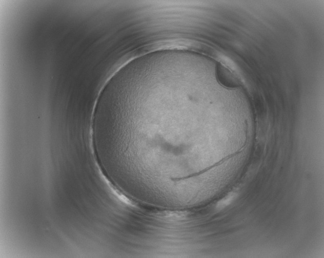 X0000068280802200605051840