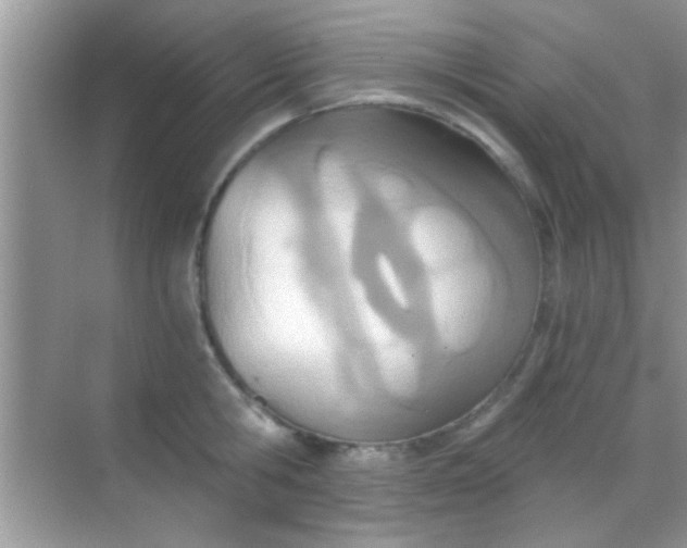 X0000068280806200605051840