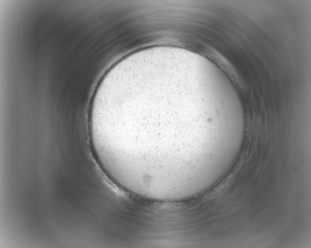 X0000068280808200605051840