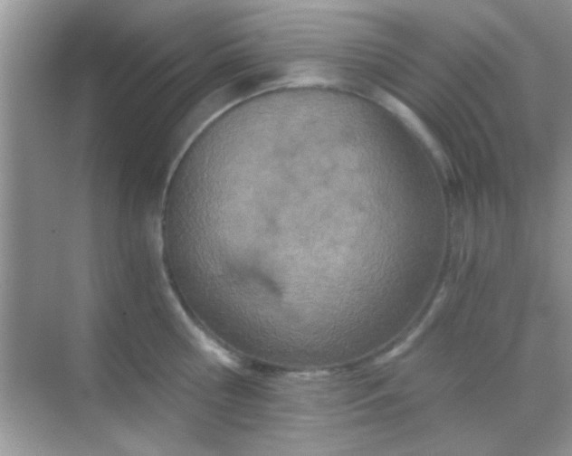 X0000068280810200605051840