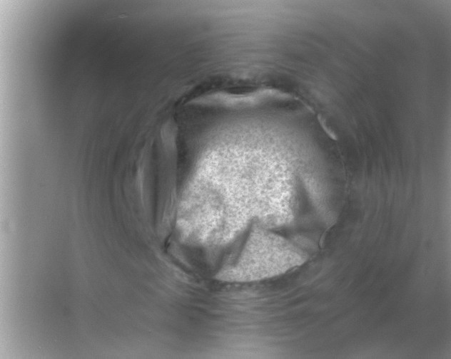 X0000068280817200605051839