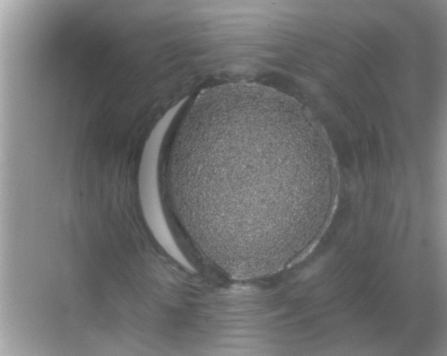 X0000068280818200605051839