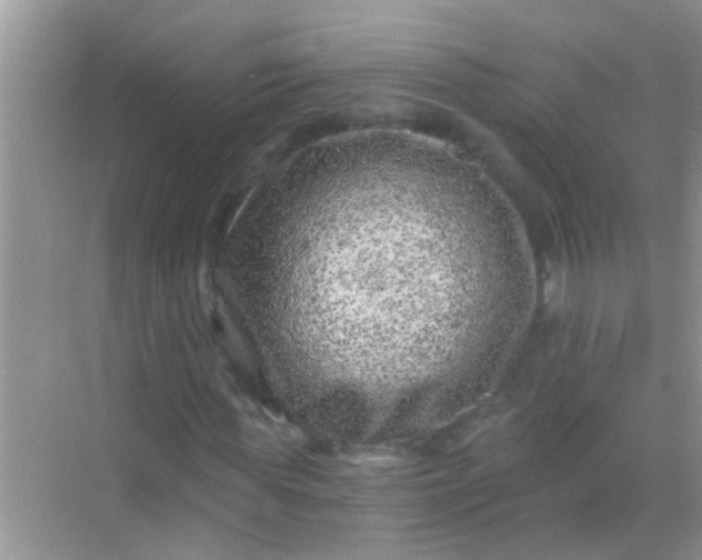 X0000068280819200605051839