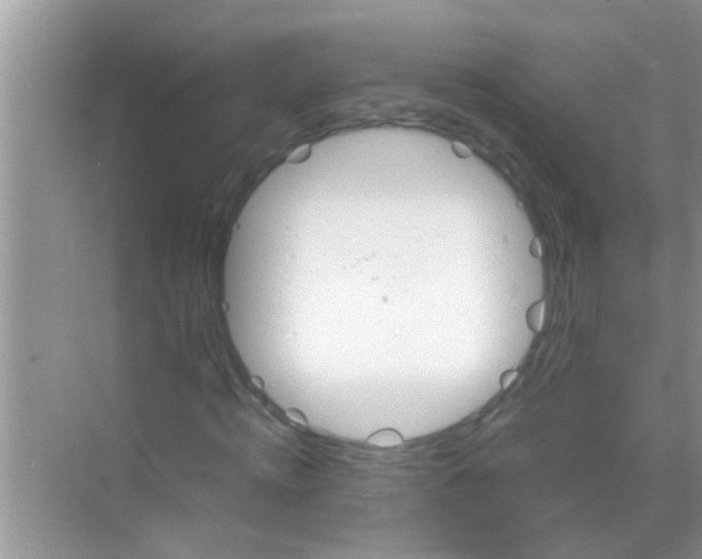 X0000068280820200605051839