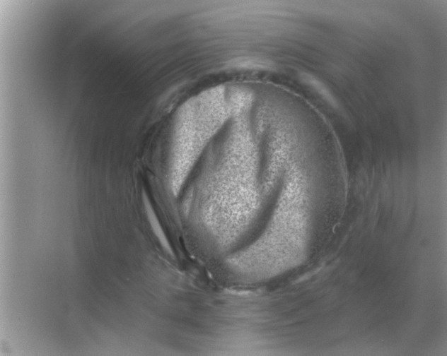 X0000068280821200605051839