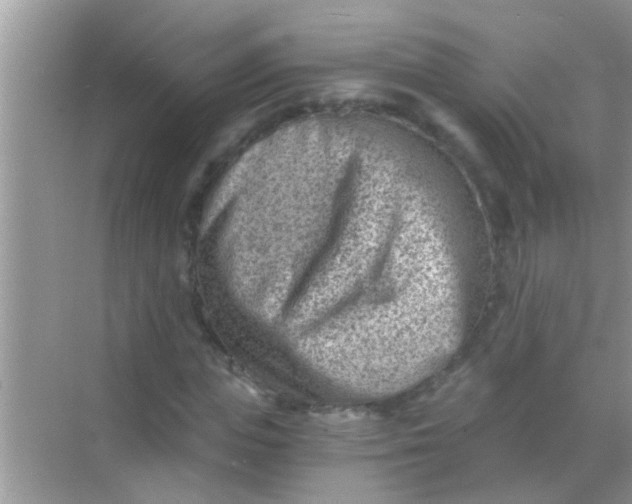 X0000068280823200605051839