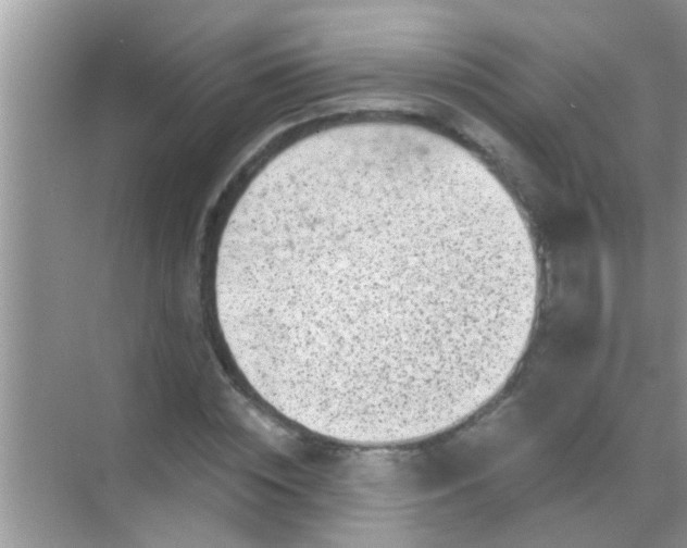 X0000068280828200605051839