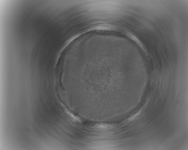 X0000068280829200605051839