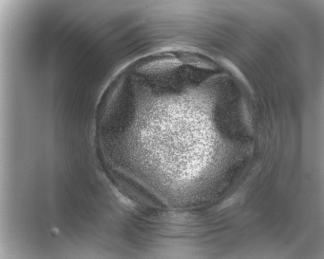 X0000068280831200605051839