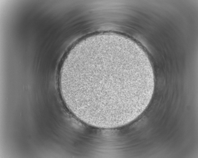 X0000068280832200605051839