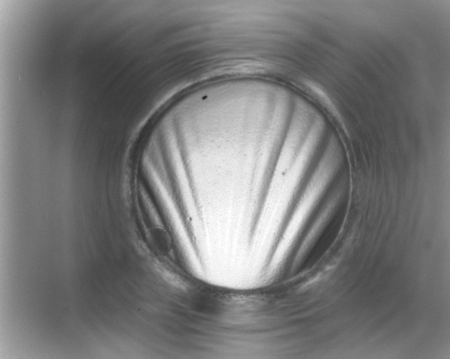 X0000068280835200605051839