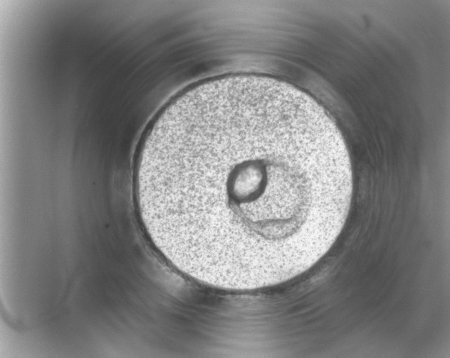 X0000068280836200605051839