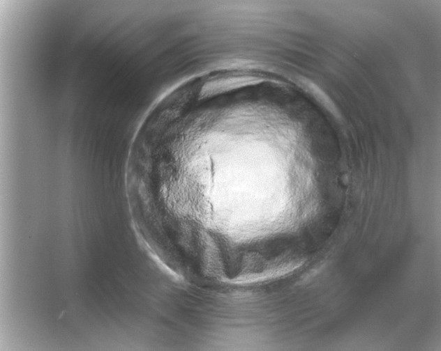 X0000068280839200605051839