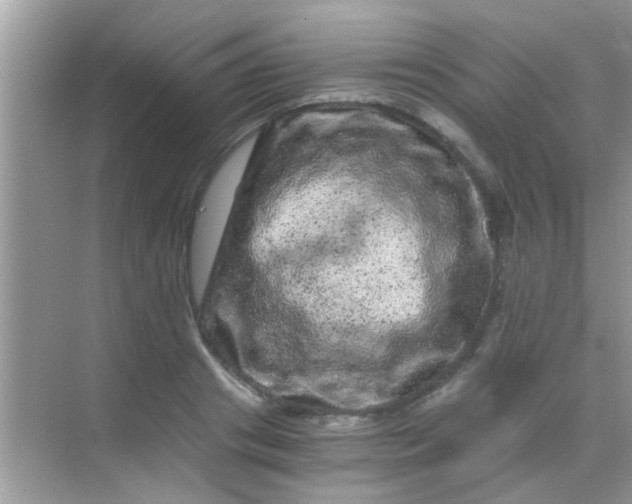 X0000068280841200605051839