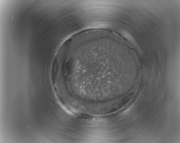 X0000068280842200605051839